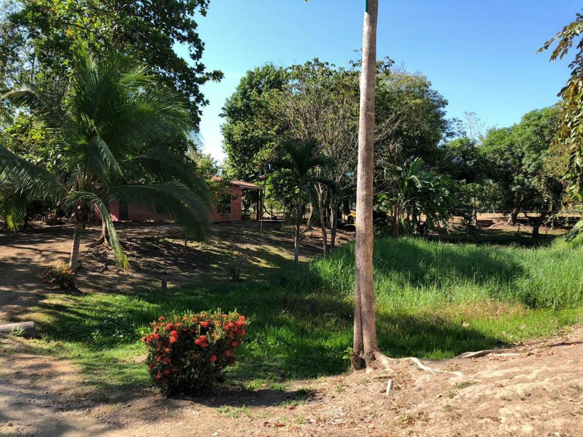 Cabinas Alemar Paquera Kültér fotó
